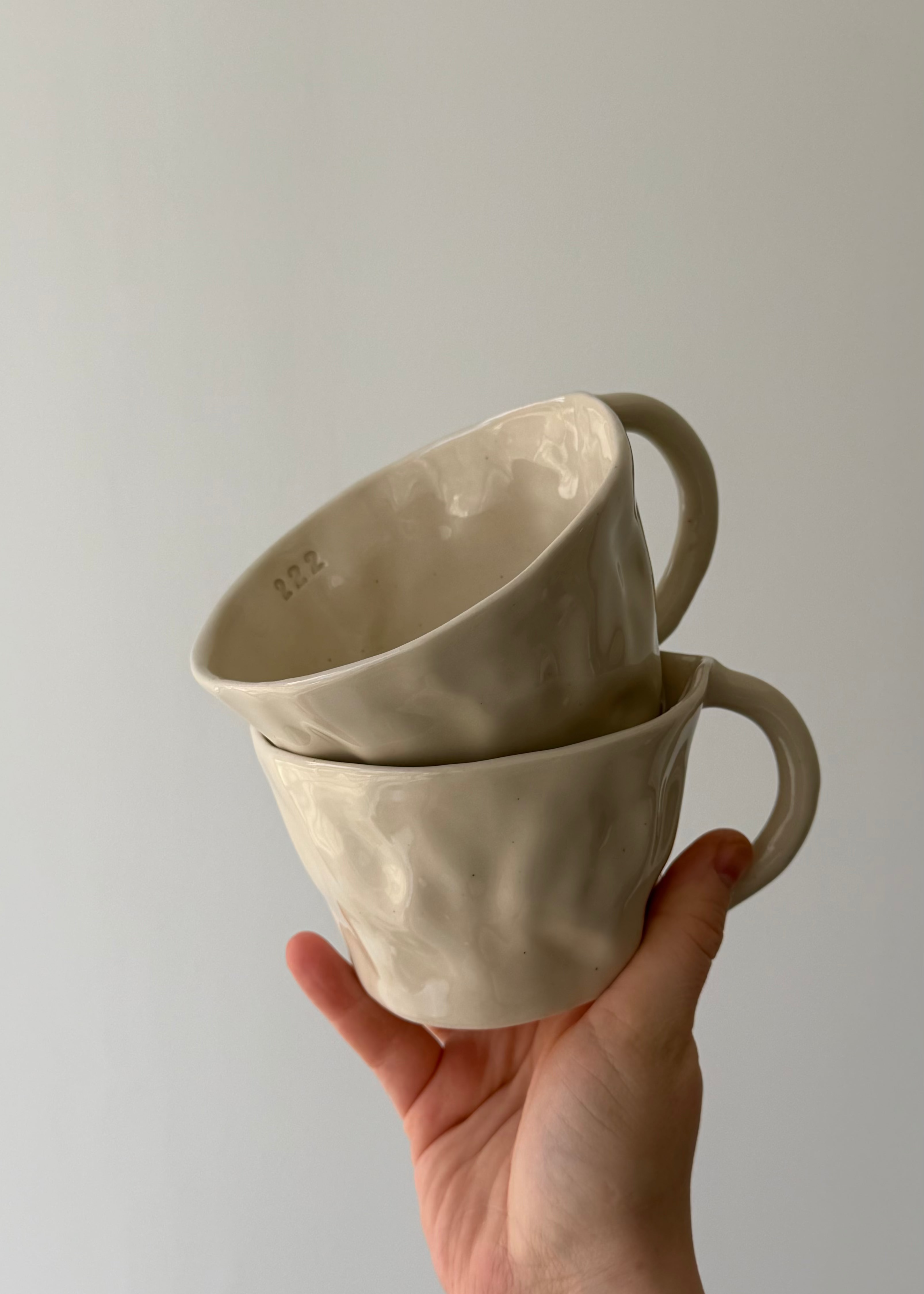222 mug