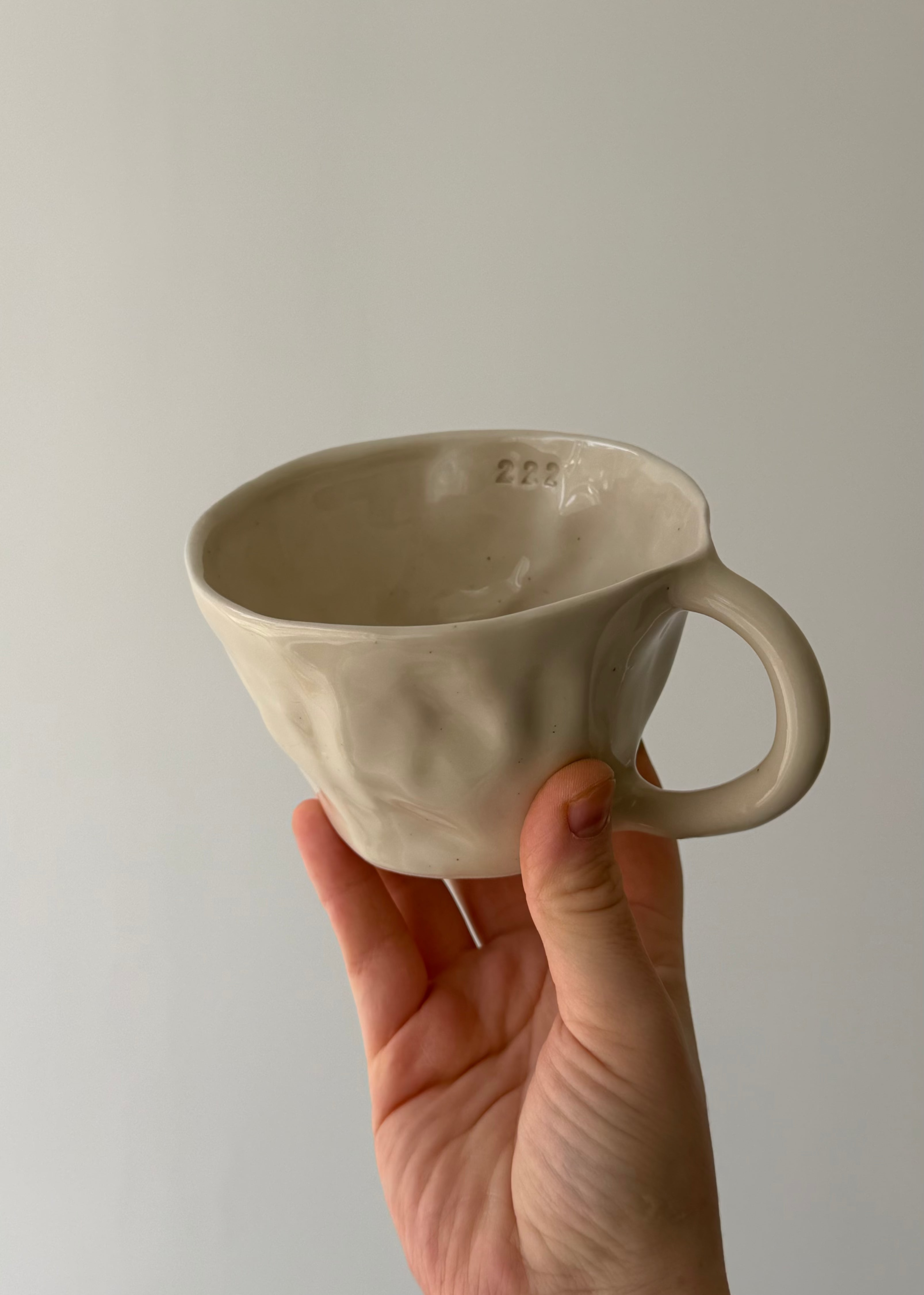 222 mug