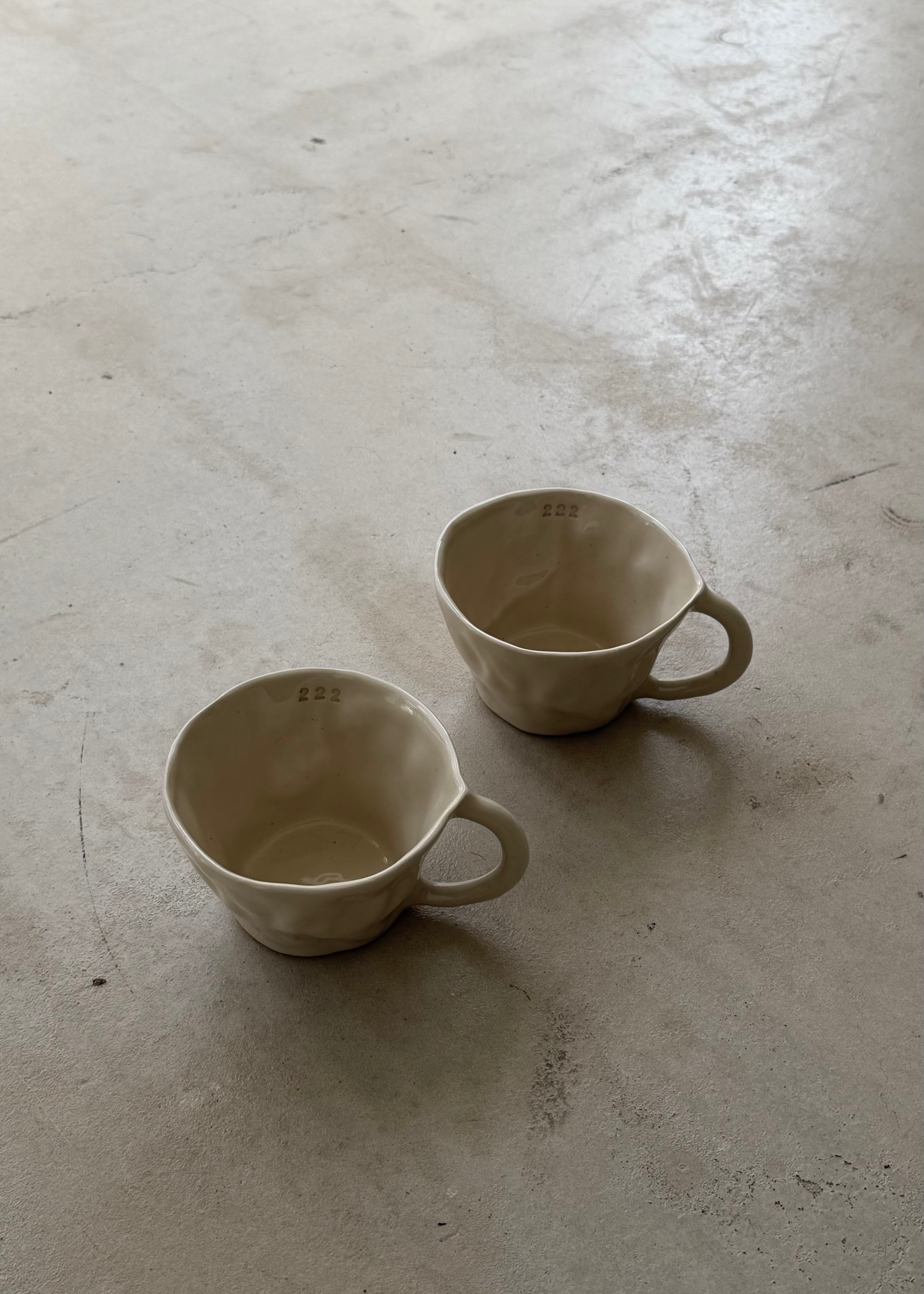 222 mug