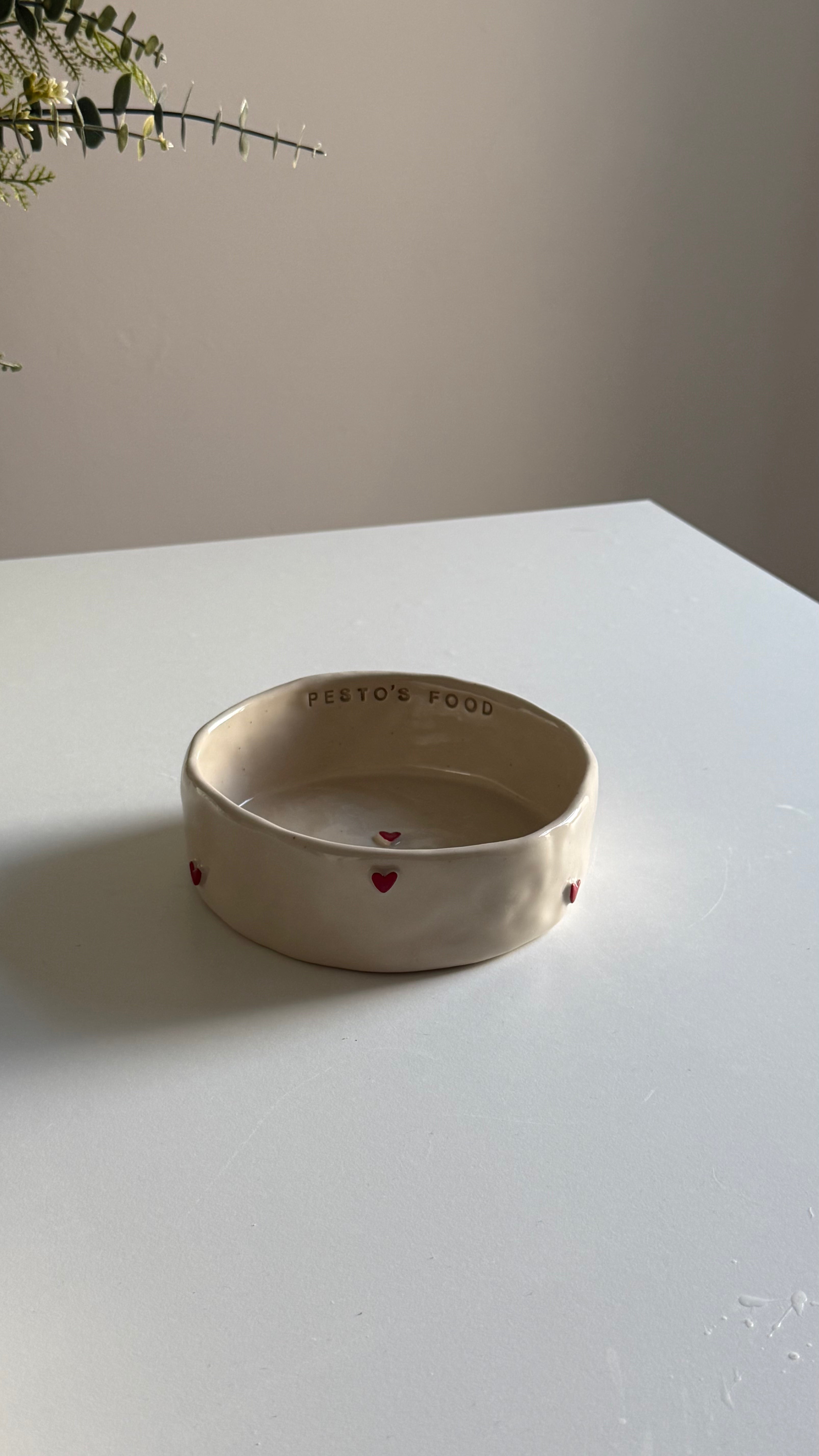 Pesto's Pet Bowl