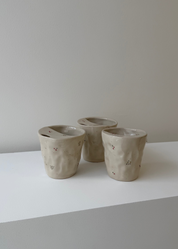 Christmas Mistletoe Takeaway