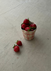 Red Picnic Tumbler