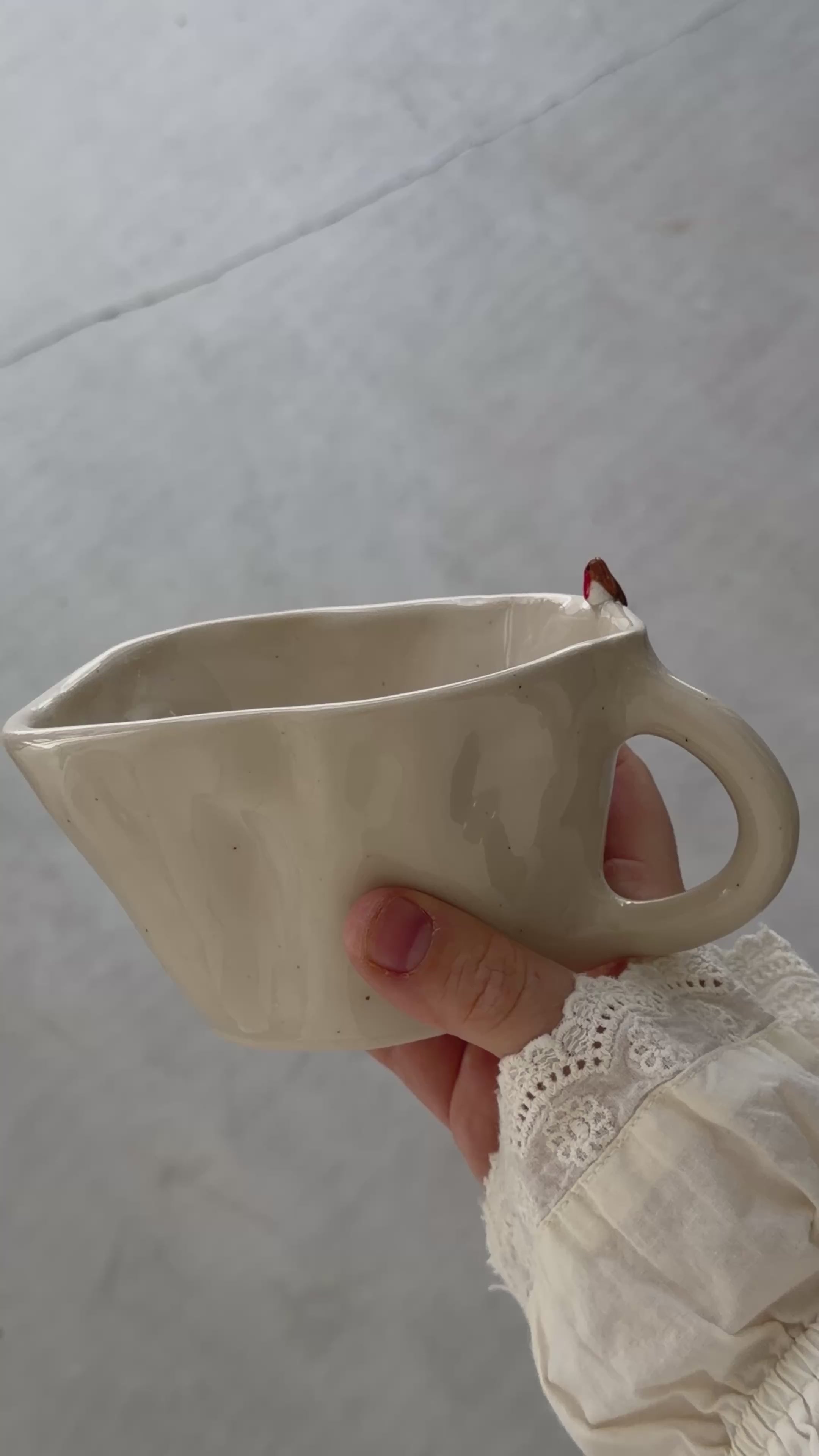 Robin Mug